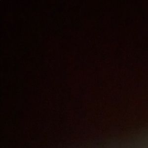 Meet your Posher, Lilly